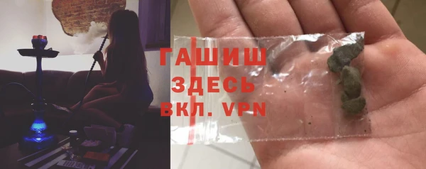 индика Абаза