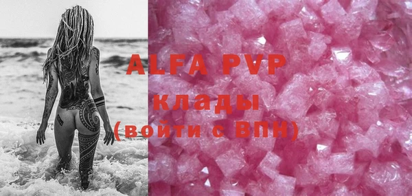 индика Абаза