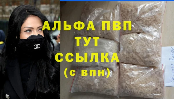 индика Абаза
