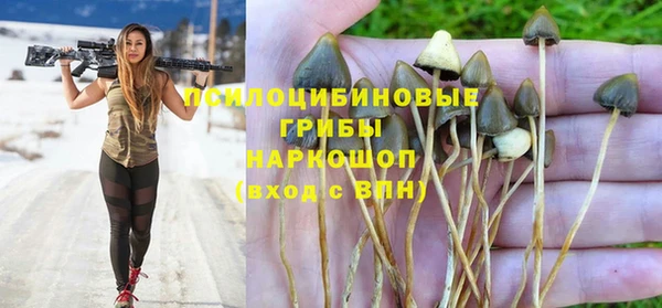 индика Абаза