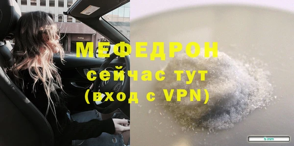 индика Абаза