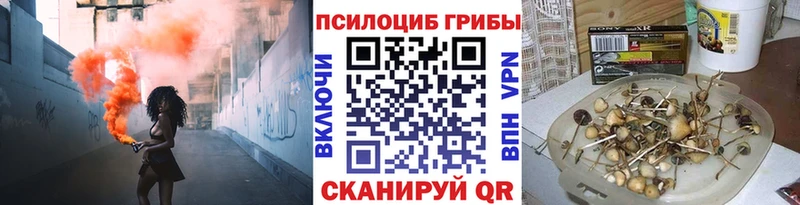 Псилоцибиновые грибы MAGIC MUSHROOMS  Скопин 